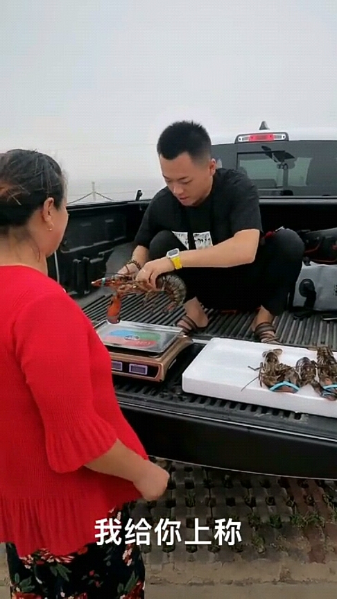 不同龙虾的区别,懂了吗?