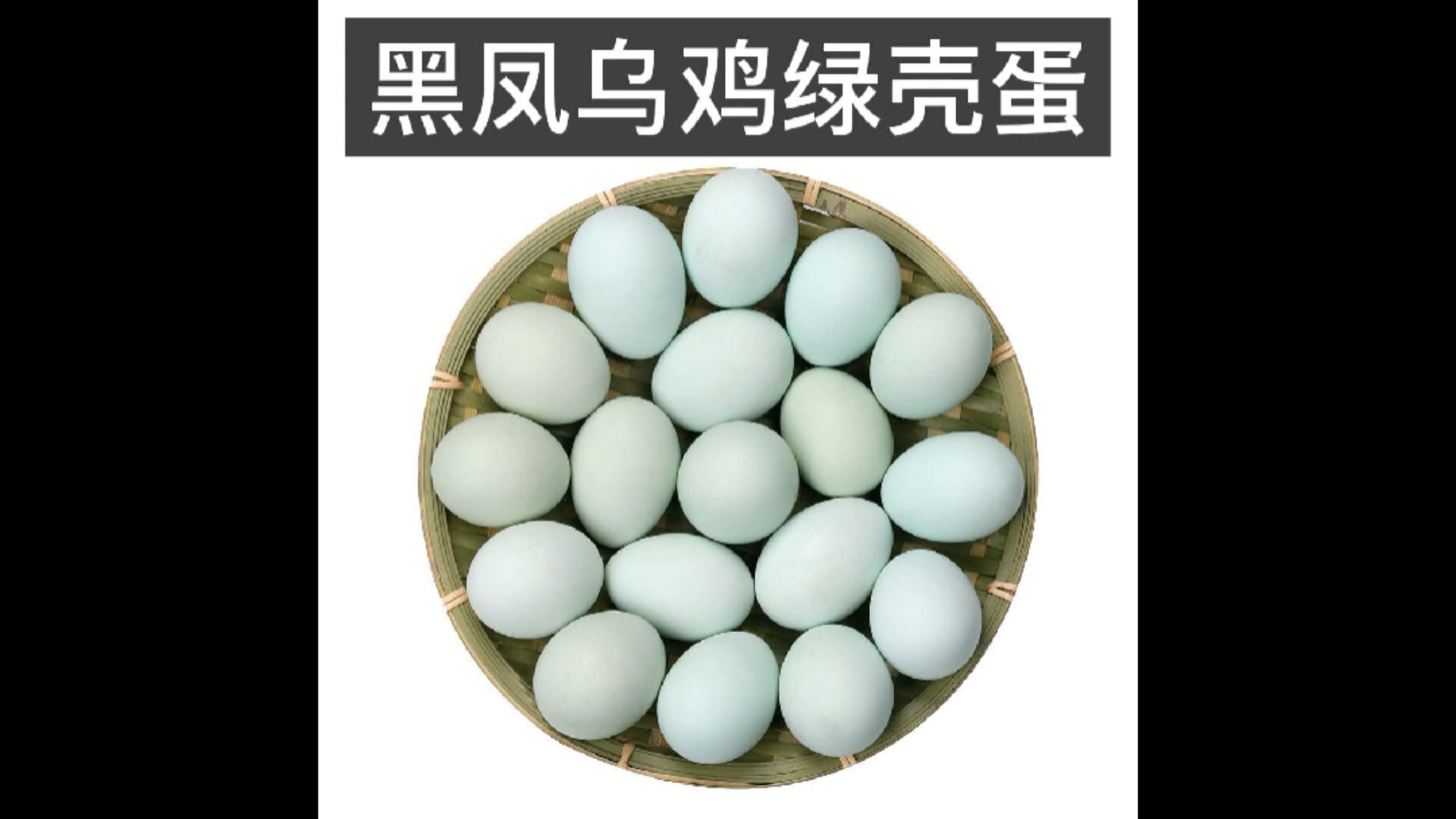 黑凤乌鸡,绿壳鸡蛋
