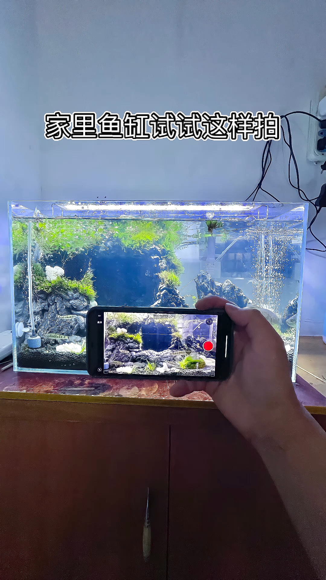 #手机摄影教学#河里抓的小鱼儿，是不是很可爱