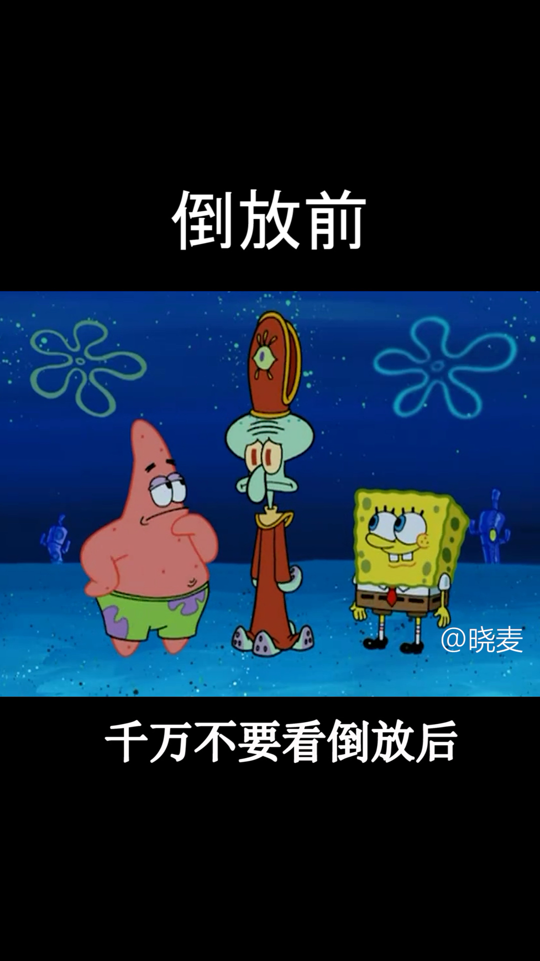#动漫#派大星还我章鱼哥来
