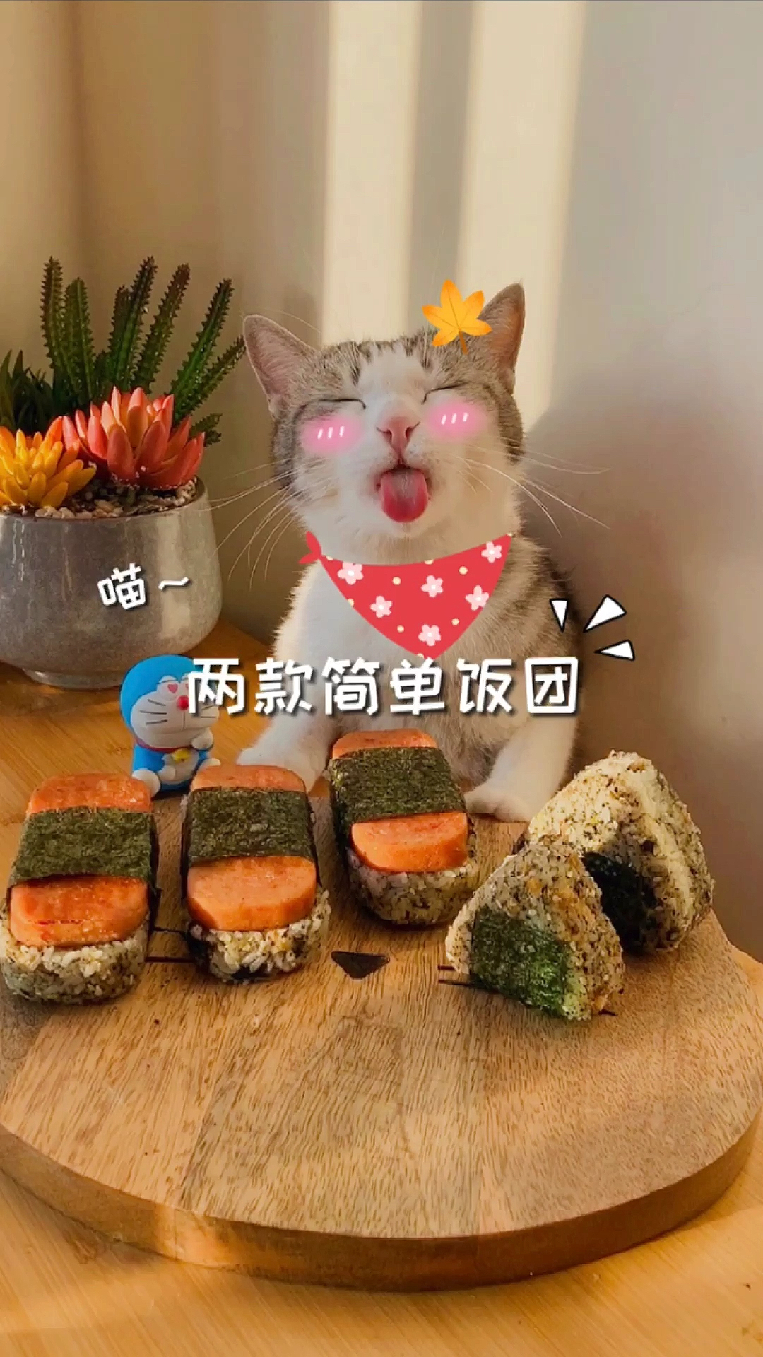 #爱美食爱生活#厨猫：超简单的两款饭团做法，味道好到爆