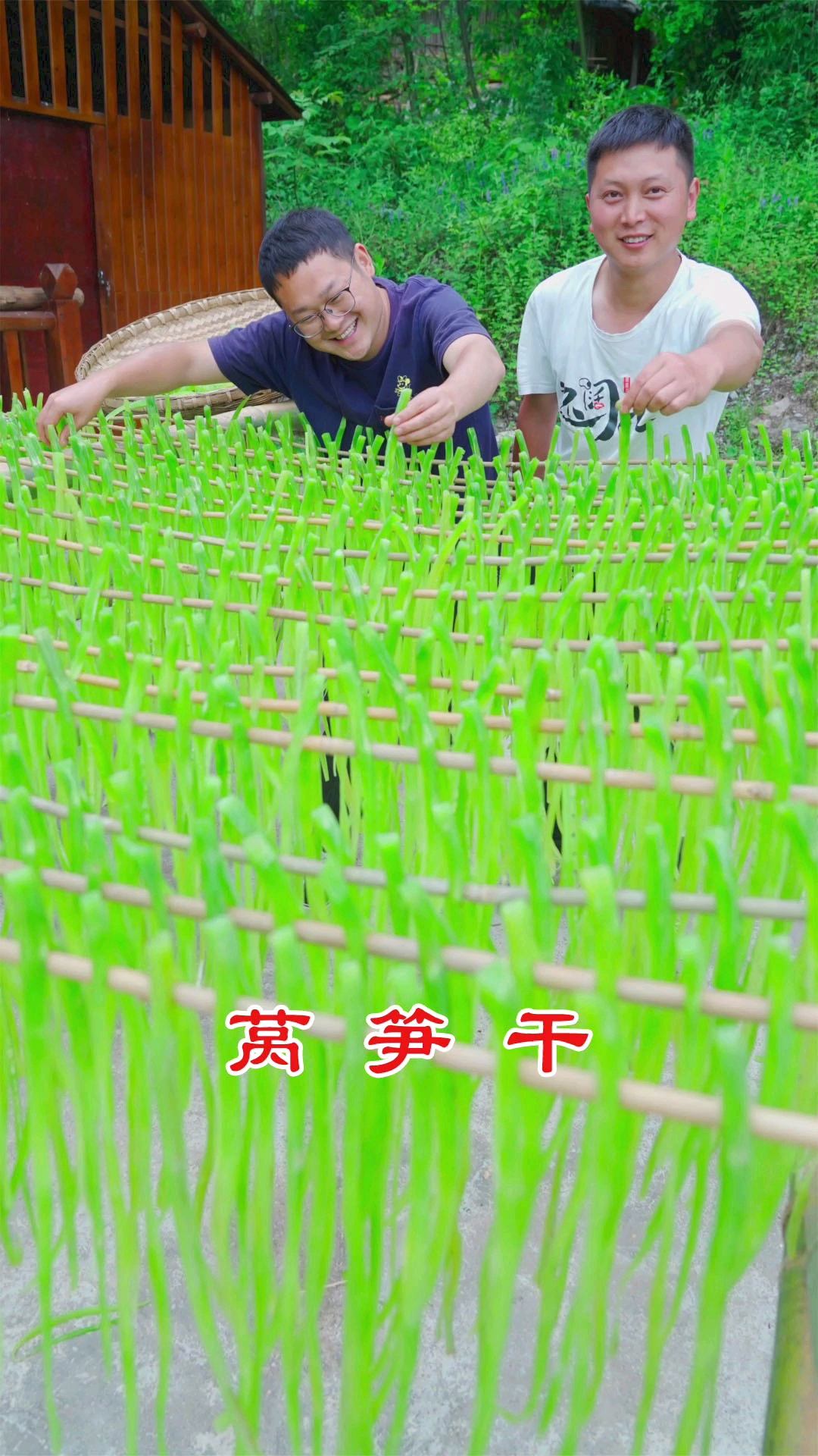 #记录我的农村生活#贡菜是莴笋做的吗？砍100斤莴笋来解锁一下！