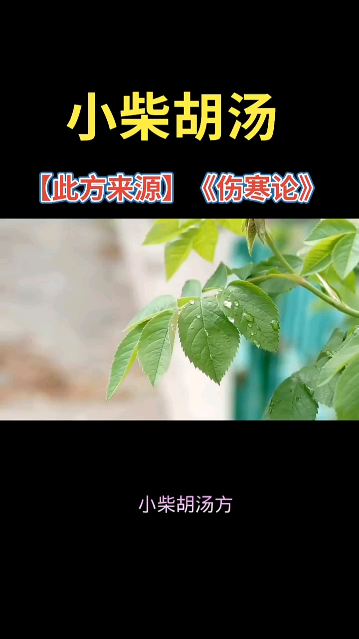 小柴胡汤此方来源《伤寒论》。