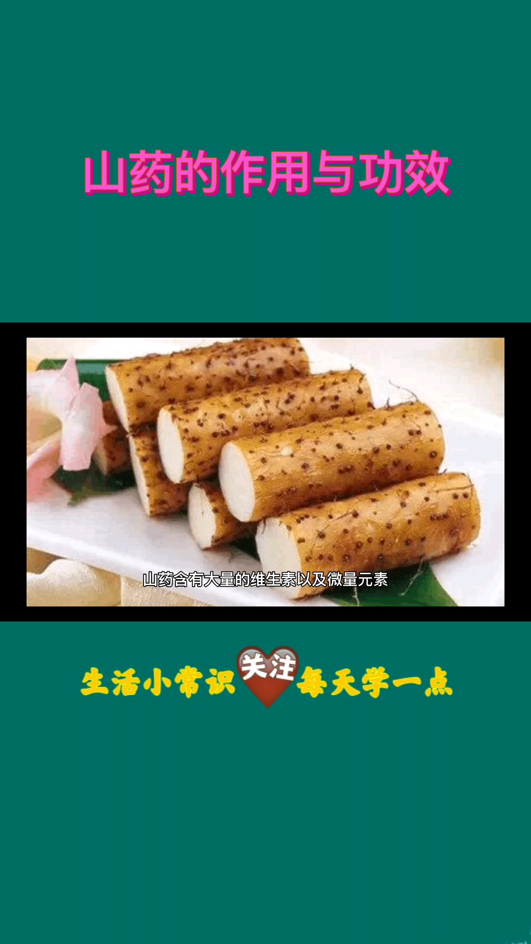 #生活小窍门#山药的作用与功效