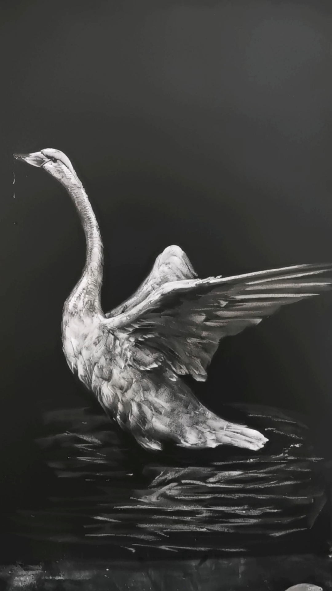 #粉笔画#是童画故事中的丑小鸭吗?
