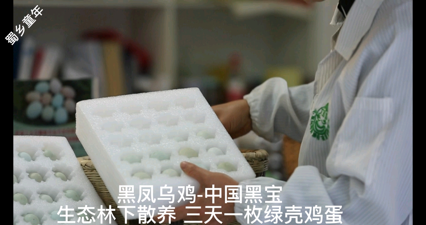 黑风乌鸡绿壳鸡蛋五黑鸡农村土鸡生态散养林下山林跑山鸡。