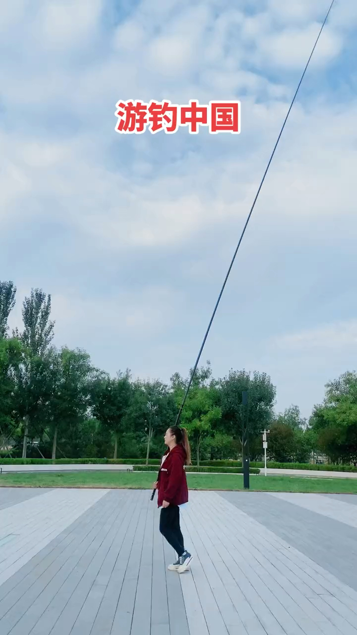 高碳大炮鱼竿12米