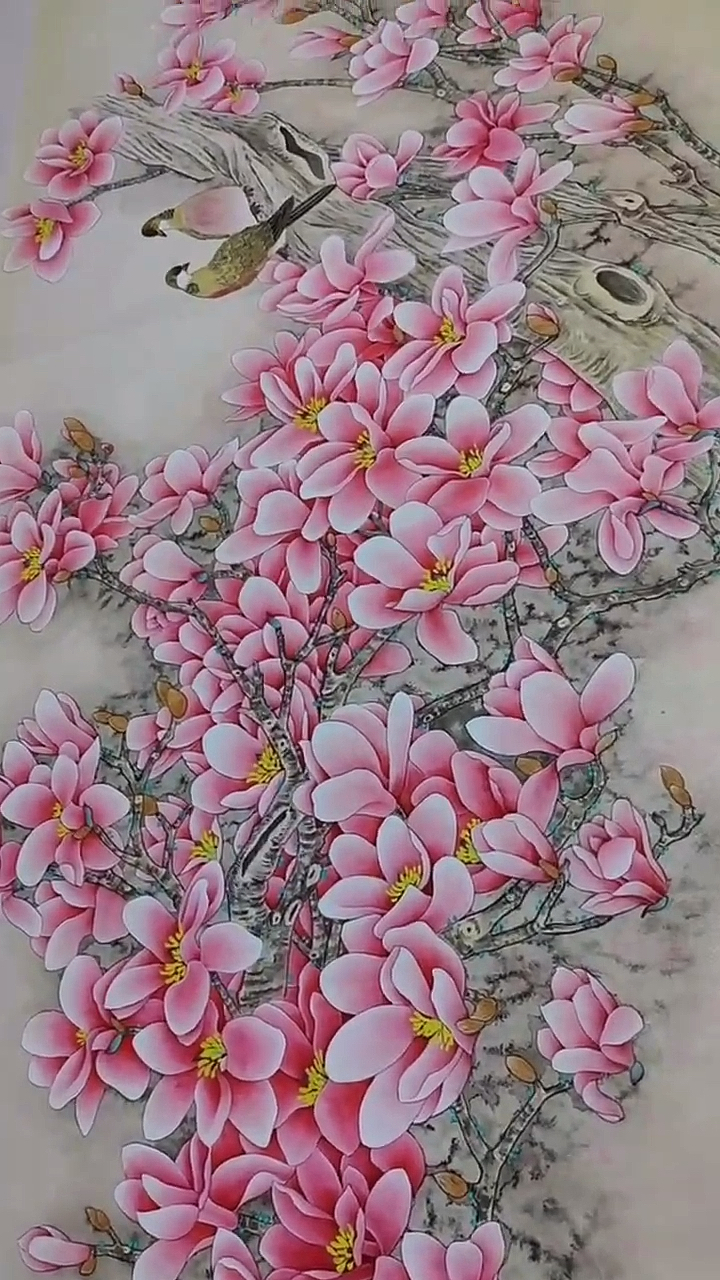 #学习工笔画!#工笔玉兰