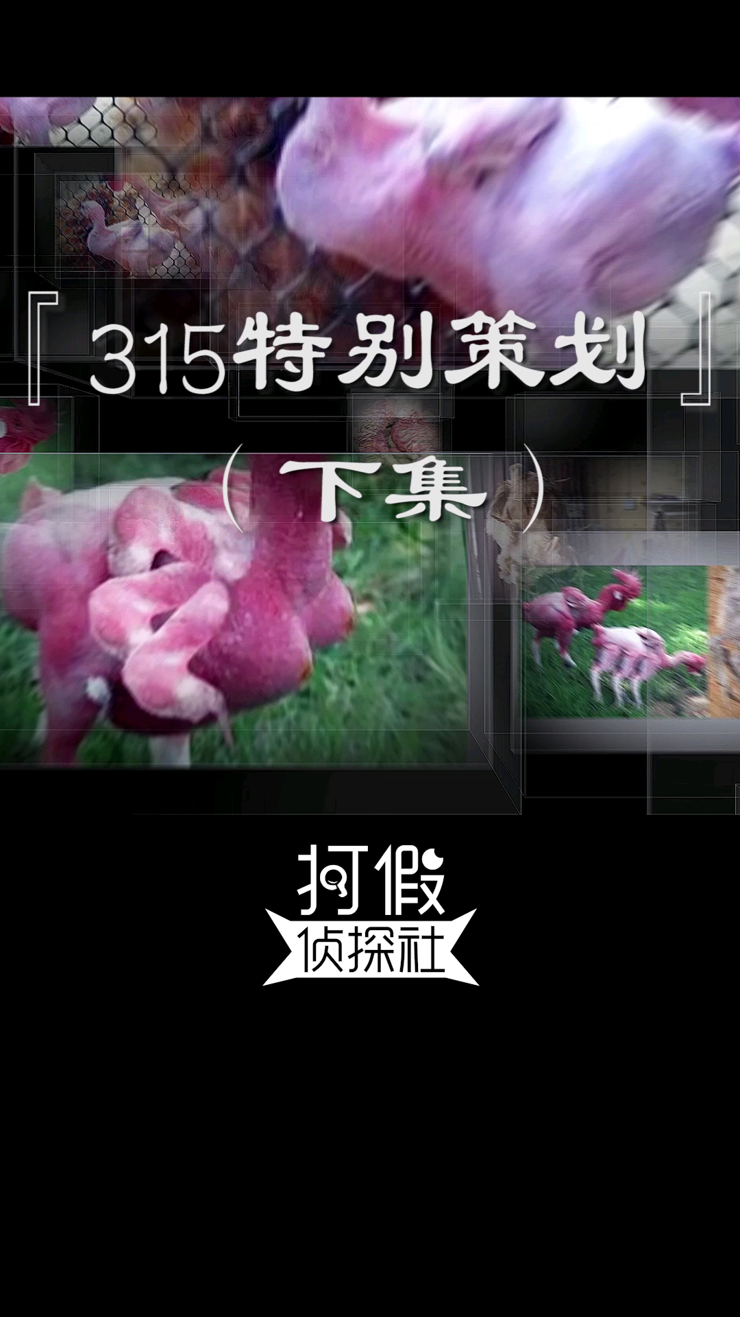#破壳计划#变异鸡的肉你吃过没？真的有变异鸡吗？