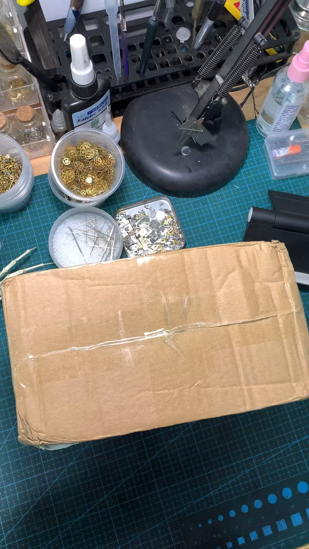 #昆虫标本制作#教大家做甲虫标本