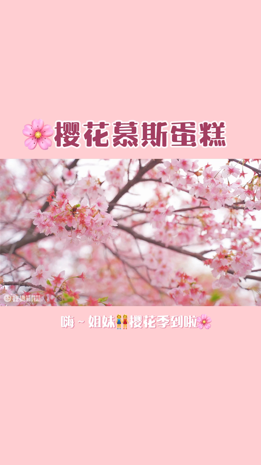 #春天来了#樱花季一定要学的樱花蛋糕这颜值你给打几分?