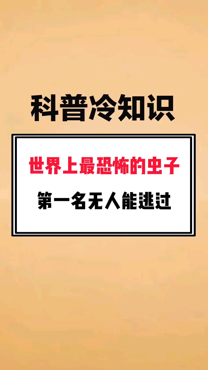 世界上最恐怖的虫子,第一名无人能逃过