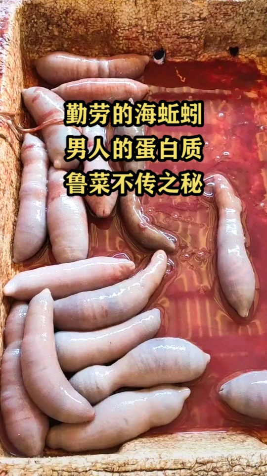 勤劳的海蚯蚓,男人的蛋白质,鲁菜不传之谜