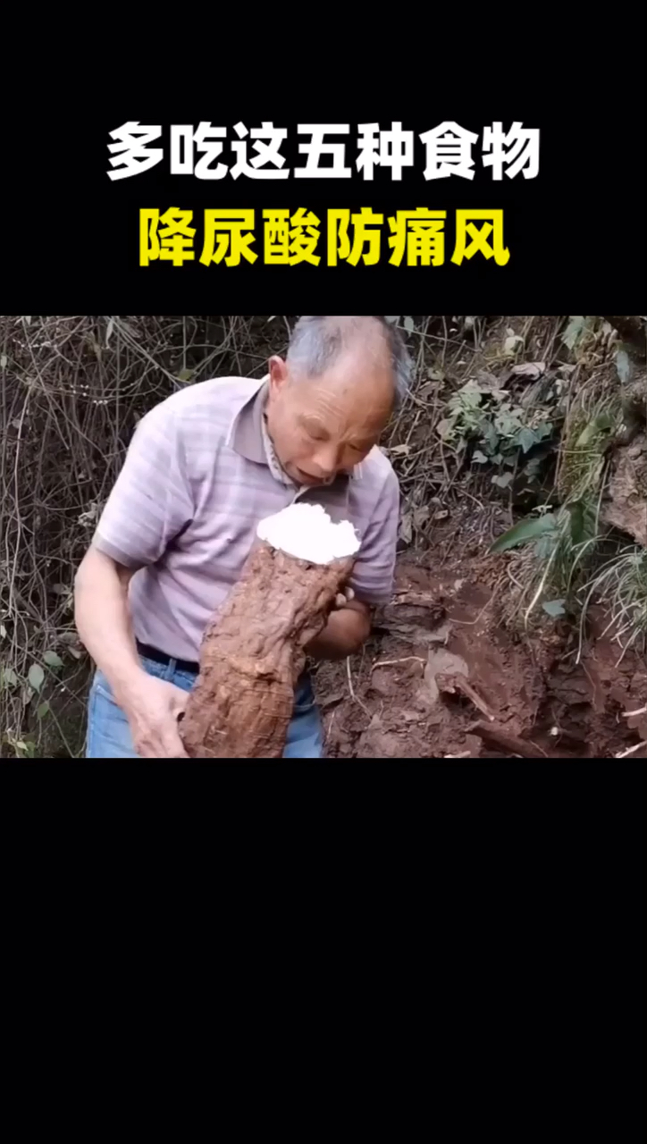 吃这些,可以降尿酸、防痛风