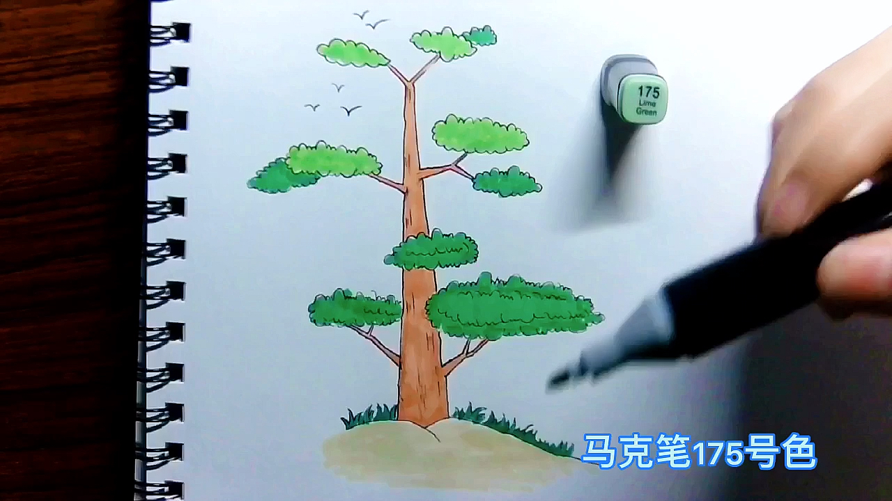 #简笔画#简笔画儿童画大全.手绘枫树画法。在家就能学习画画