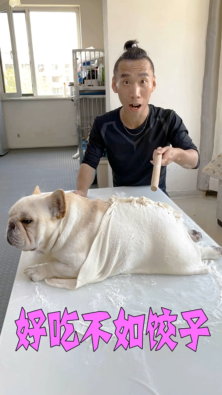 #我家萌宠成精了#现学现卖！这包饺子的手艺，一般人还真不敢学..