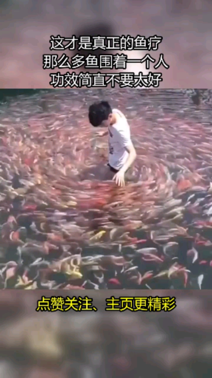 这才是真正的鱼疗那么多鱼围着一个人功效简直不要太好