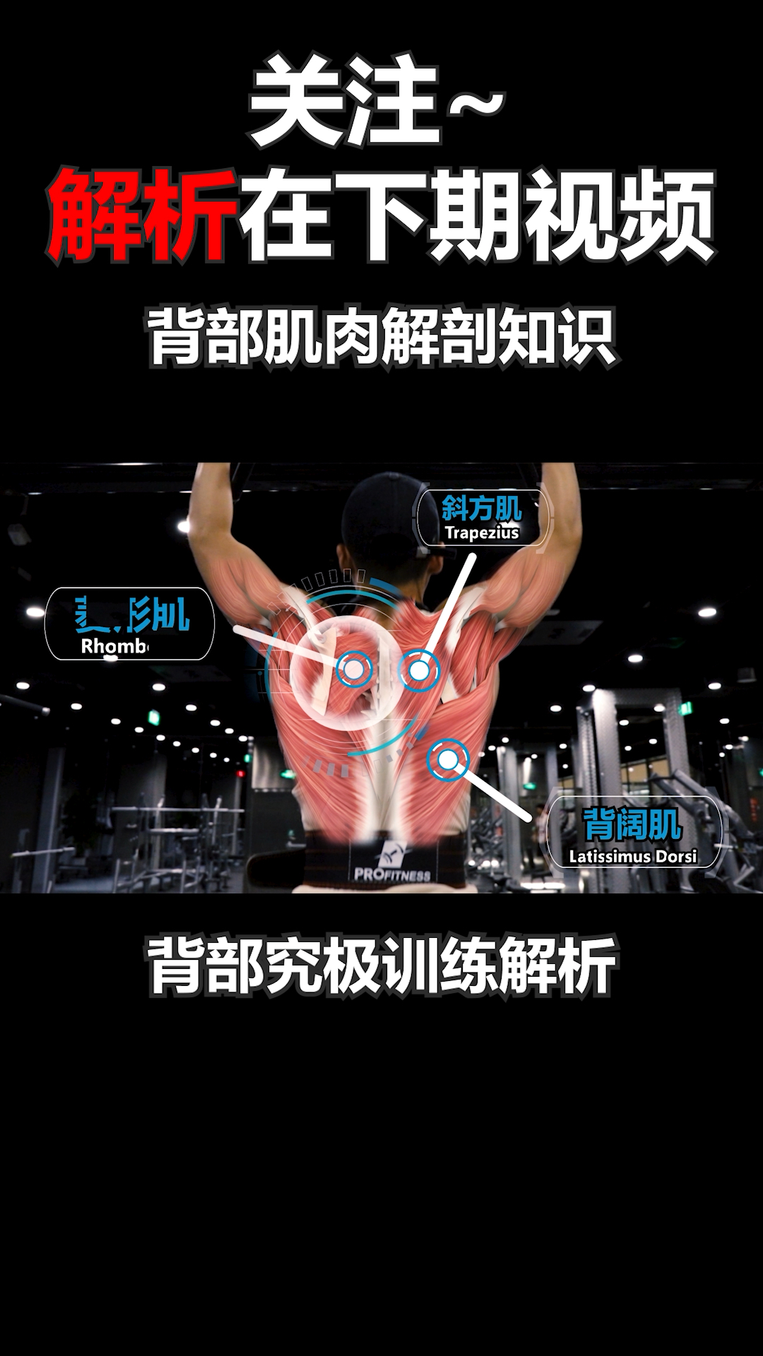 #健身#背部肌肉解剖知识