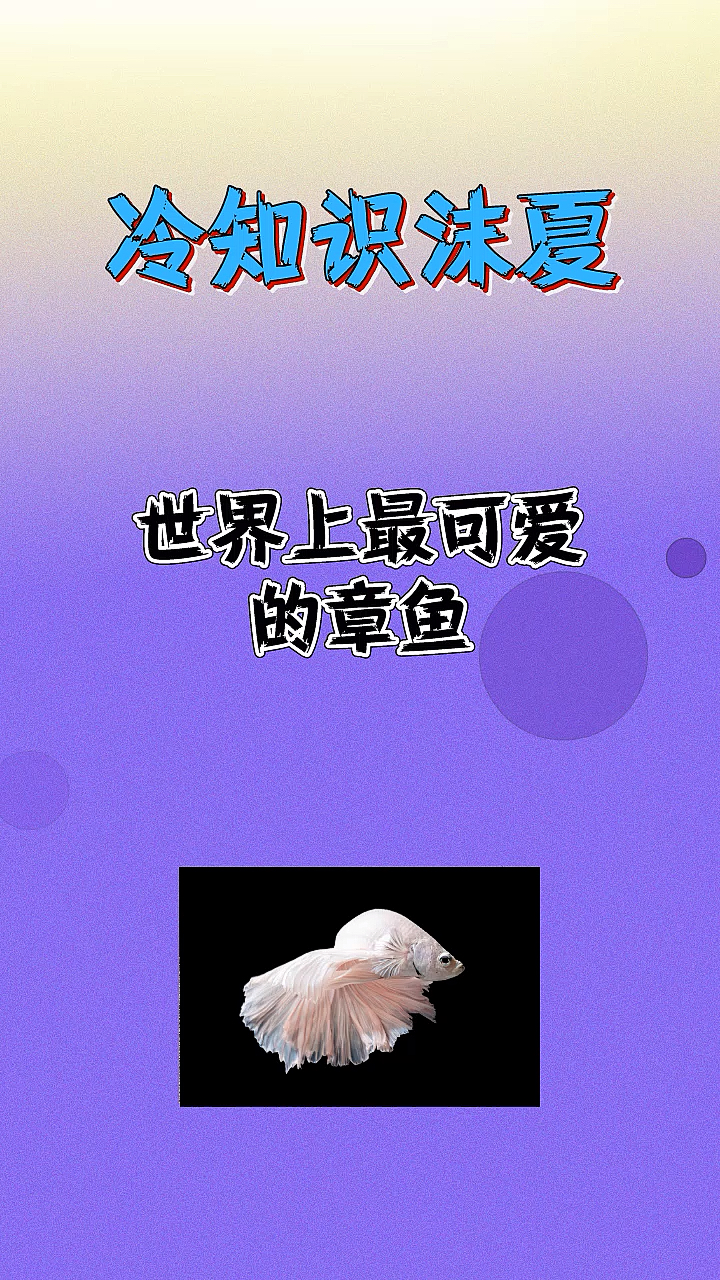 #每天一点冷知识#世界上最可爱的章鱼