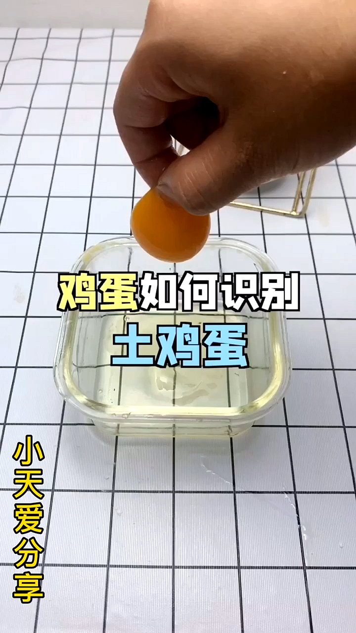 #生活小妙招#鸡蛋很难分辨是不是土鸡蛋,其实通过蛋黄就能很好分辨