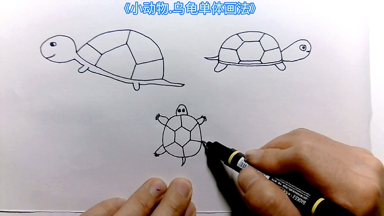 #简笔画#简笔画儿童画大全.手绘动物乌龟画法,在家就能学习画画