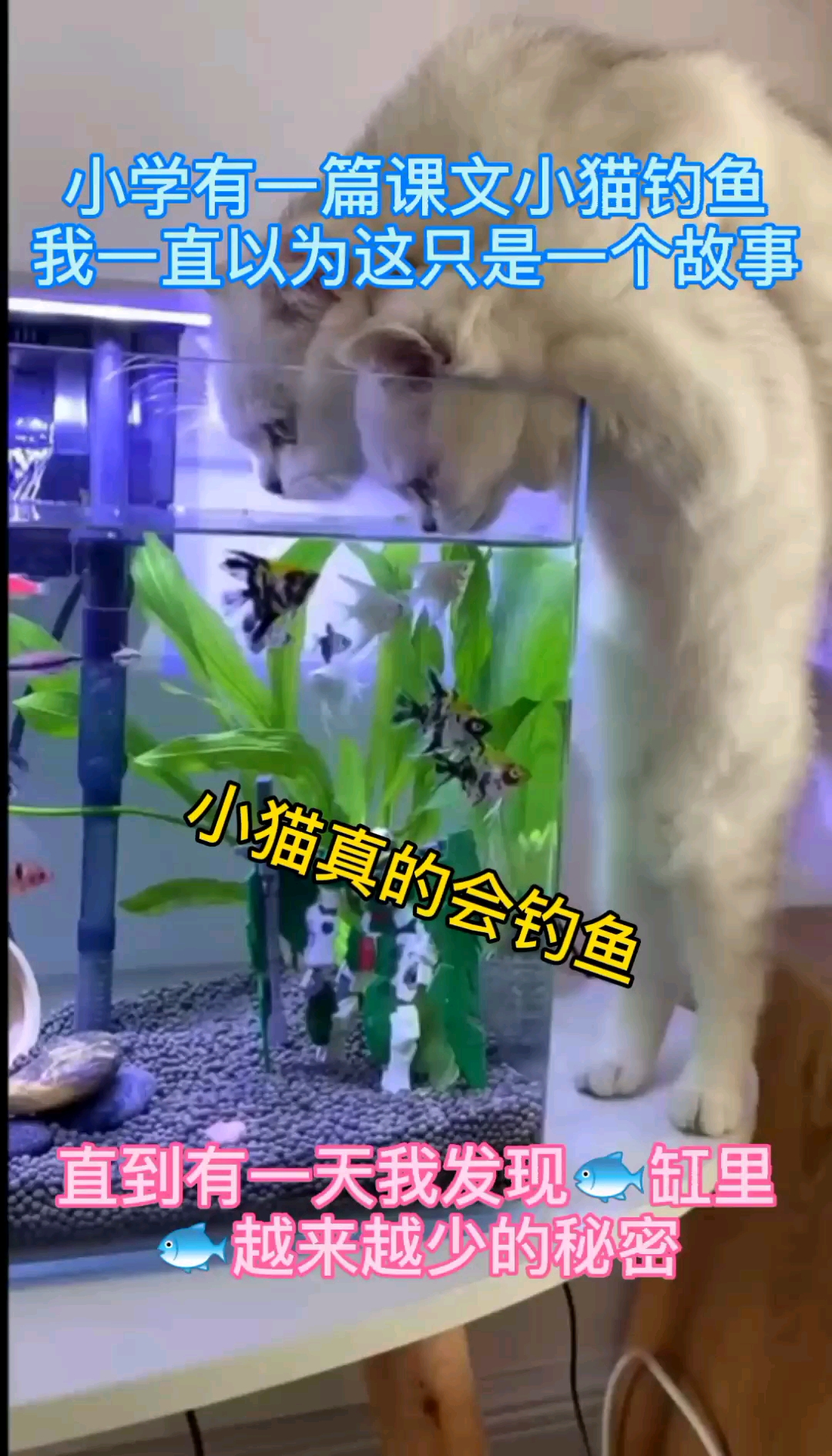 我一直单纯的以为是大鱼吃小鱼,直到看到这一幕我才知道鱼越来越少的秘密