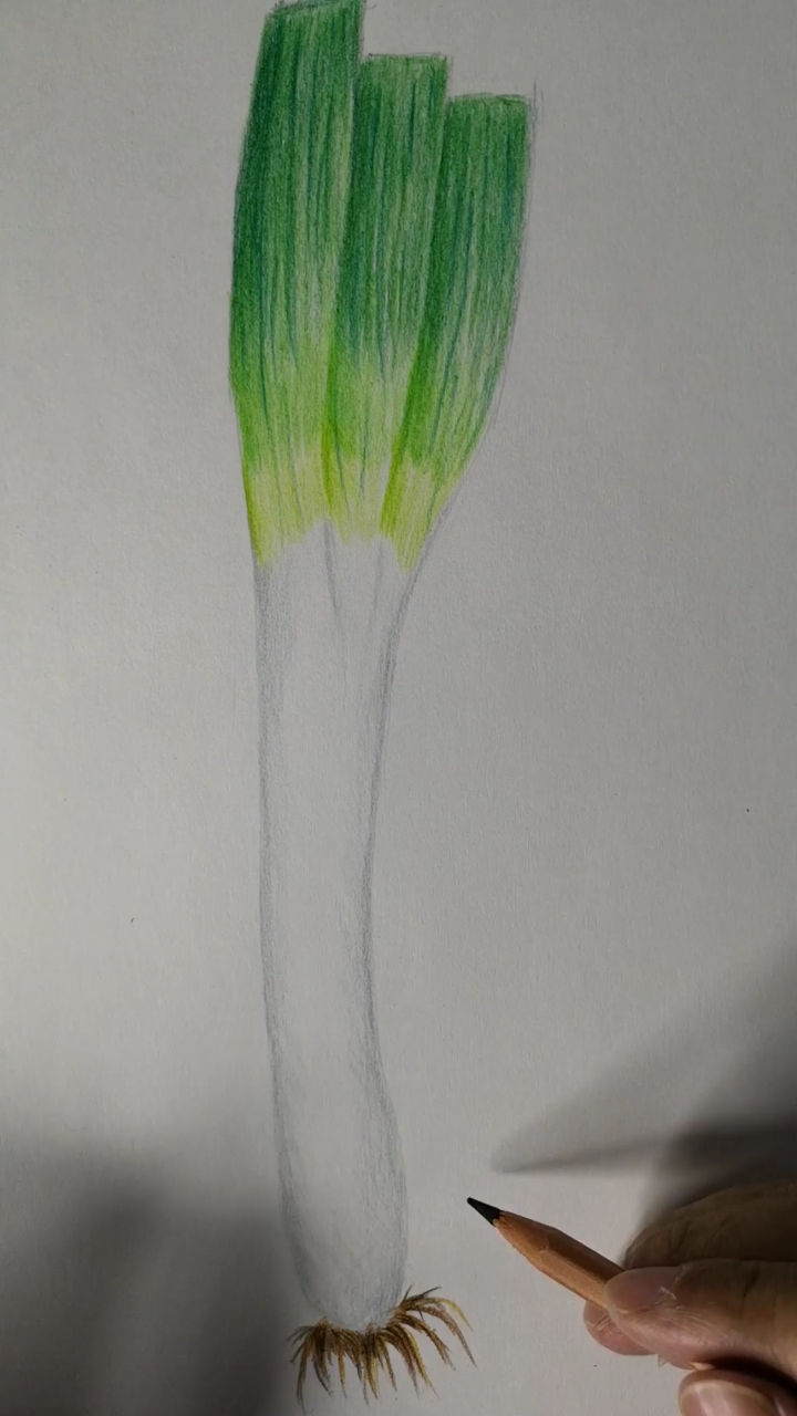 #手绘#大葱+馒头,是不是你的最爱。