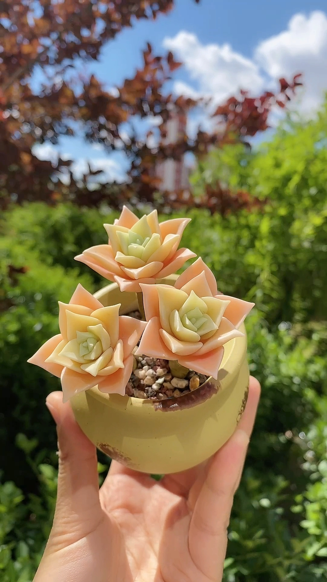 #有一种可爱叫多肉！#粘土多肉可爱玫瑰