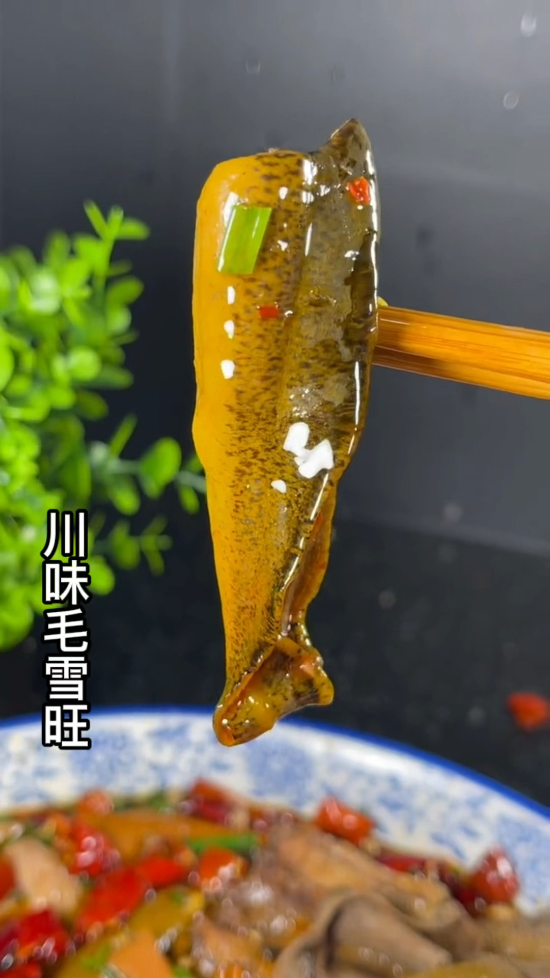 #破壳计划#毛血旺怎么做才好吃,我告诉你