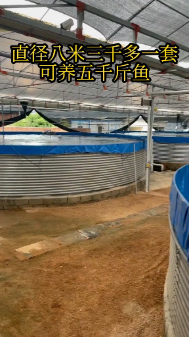 #养鱼#镀锌板帆布鱼池