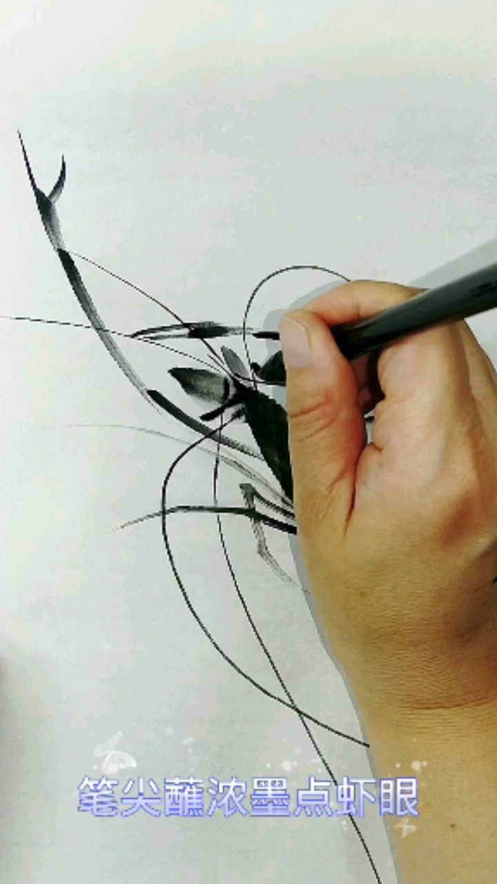 #中国画#教你画虾