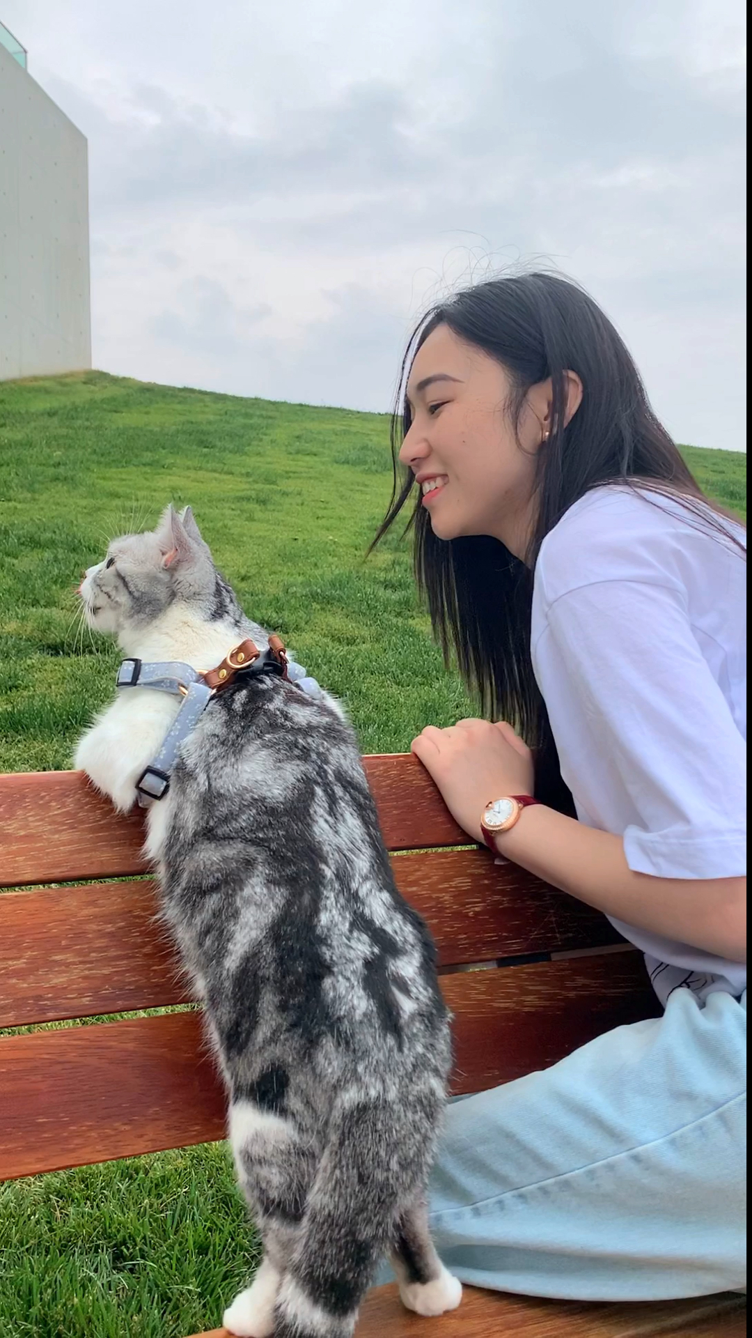 #家有猫咪#泡芙提醒你，放下手机，休息下眼睛，陪陪你身边的人吧～