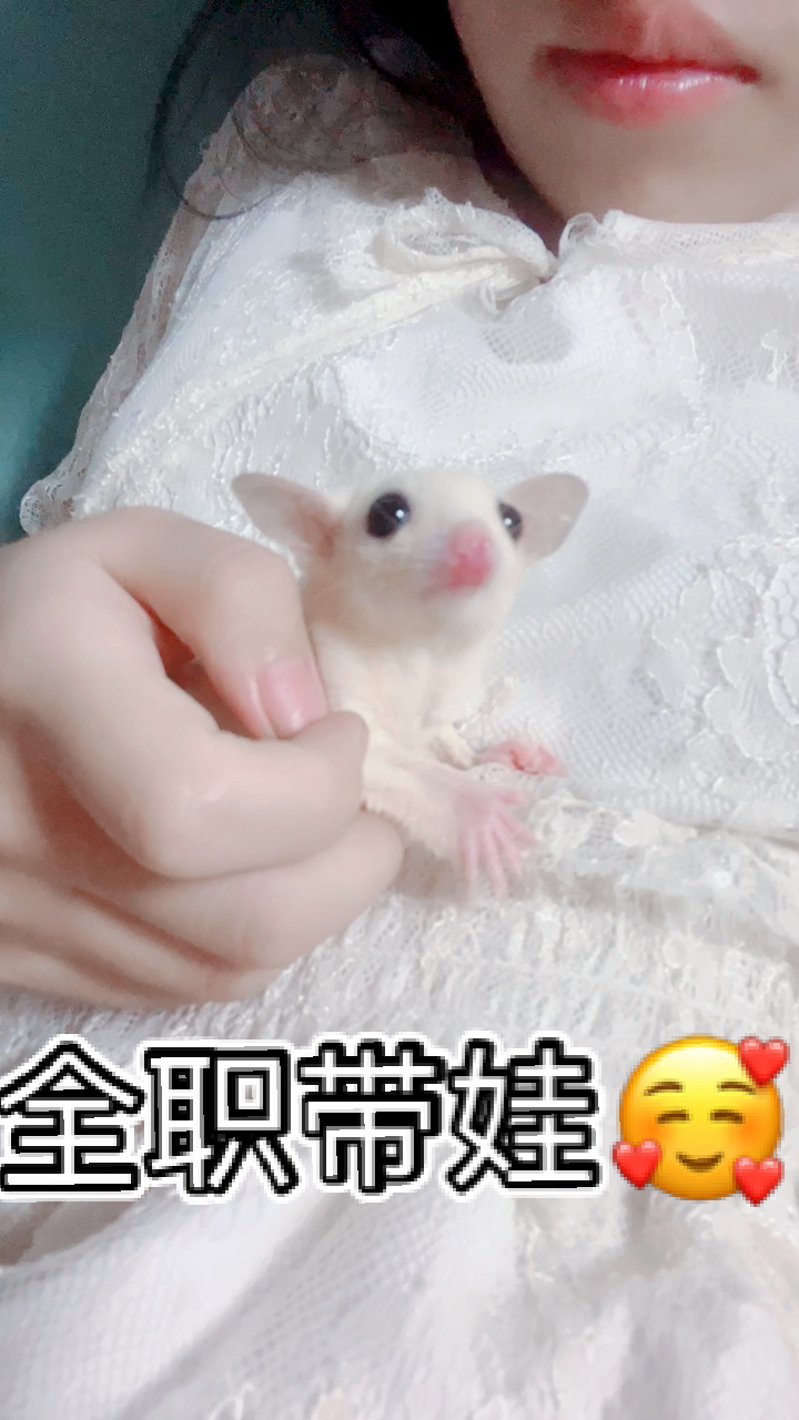 #我家萌宠成精了#全职带娃高手