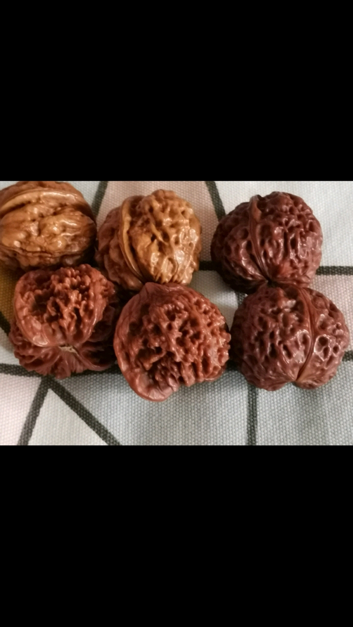 #圣诞麋鹿来送礼#玩