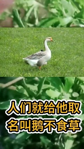 小故事学中医