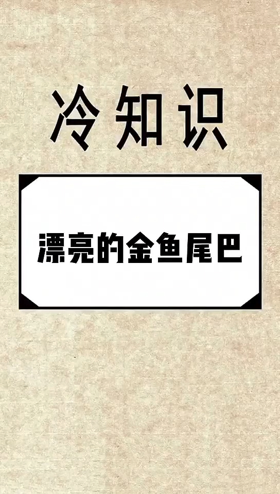 漂亮的金鱼尾巴