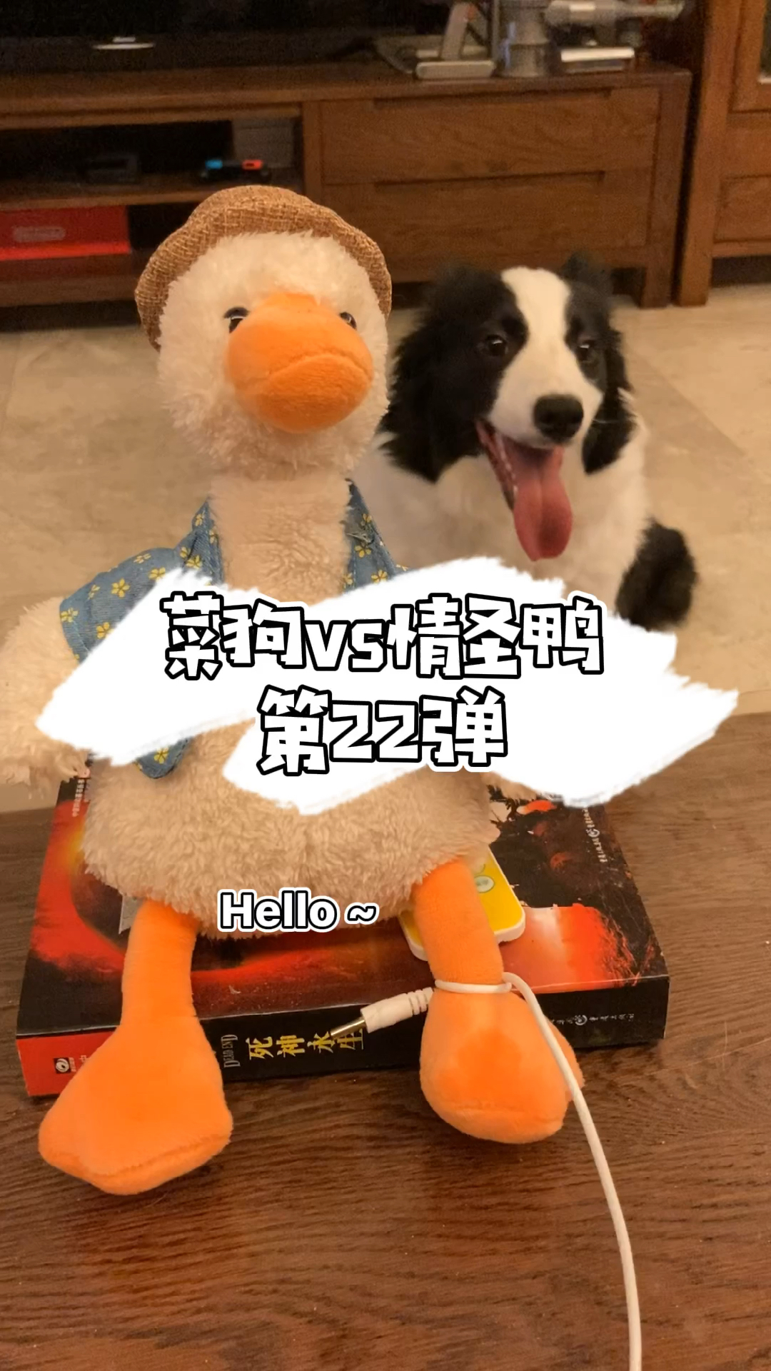 #孟菜鸭#全网最欠揍的感情大师！