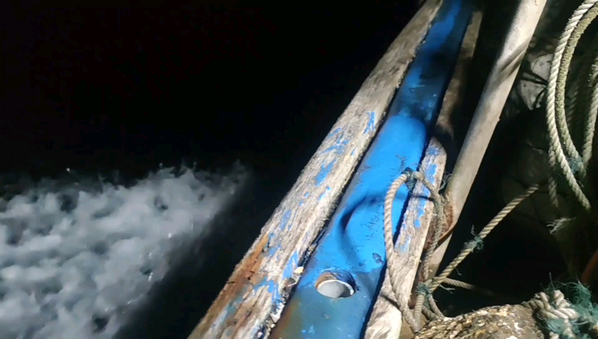 #乡村生活#彪哥这个网的收获就挺不错,终于捉到满海里寻找的海红斑,高兴极了(下)