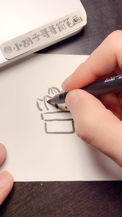 #简笔画#多肉植物～手帐简笔画～