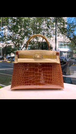 #奢侈品#今年的第一个小目标爱马仕鳄鱼皮铂金包,爱了爱了