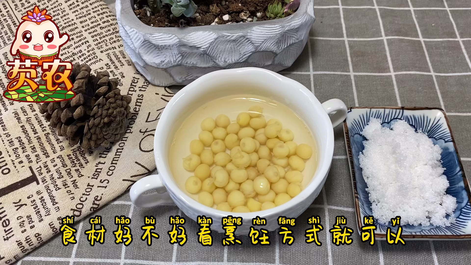 #记录生活#苏州鸡头米经典做法糖水鸡头米,简单做法才能体现食材的好坏,苏州真手剥鸡头米真好