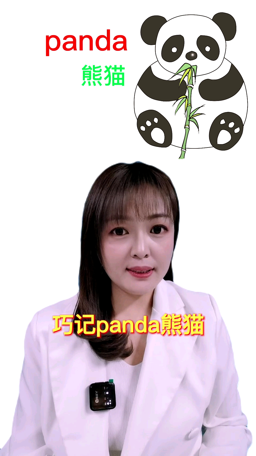 #英语#巧记英语单词：panda