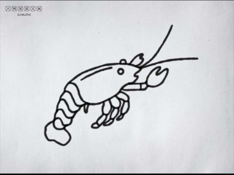 #简笔画#小虾子简笔画教学