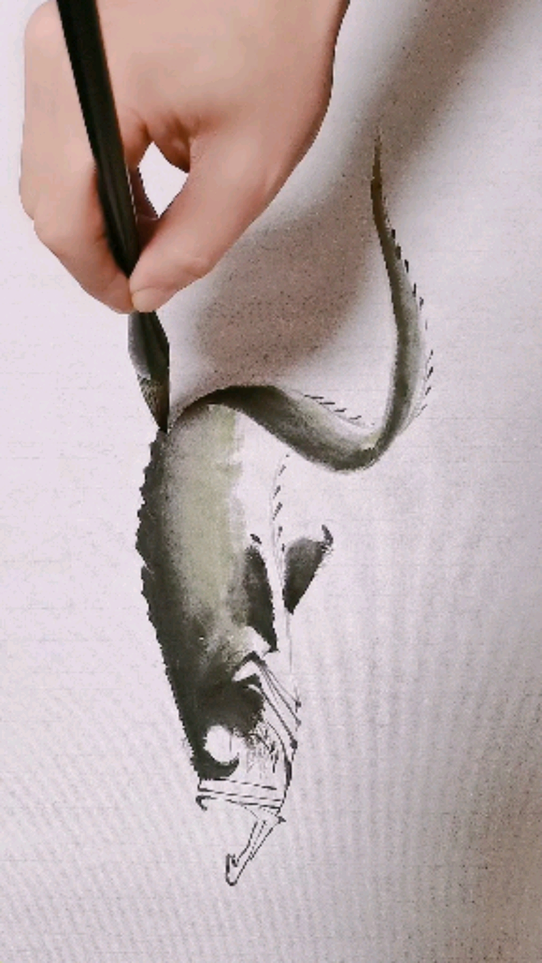 #过好冬天#带鱼也能用国画技法表现