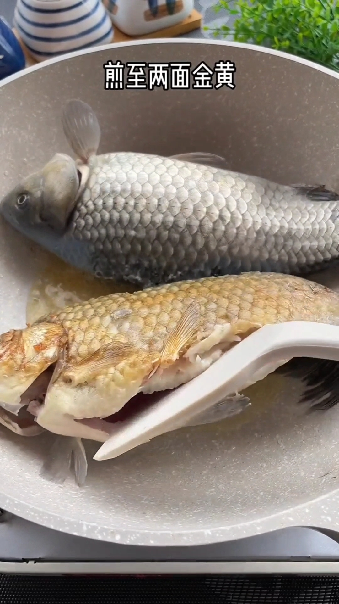 #看8菜有食欲#鲫鱼豆腐汤裙带汤的做法