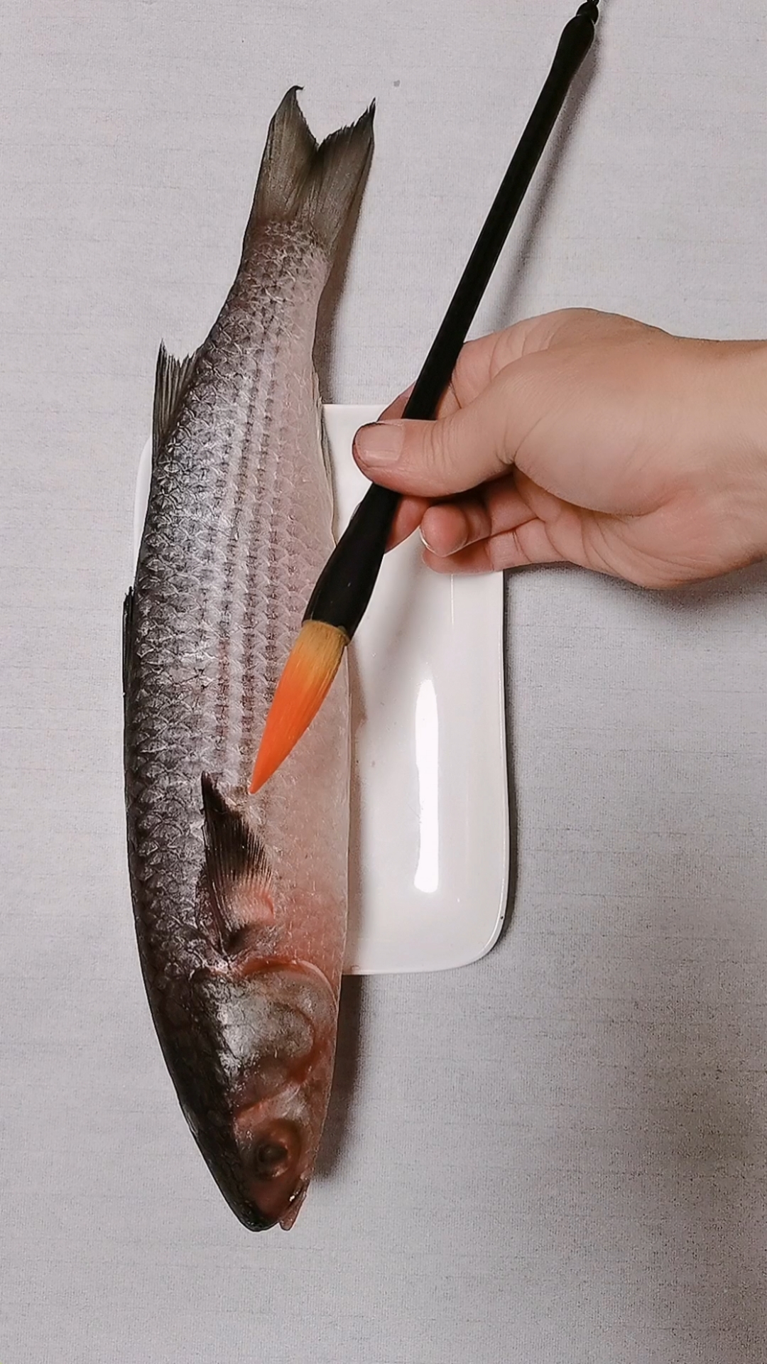 #我要上热门#梭鱼该如何入画呢