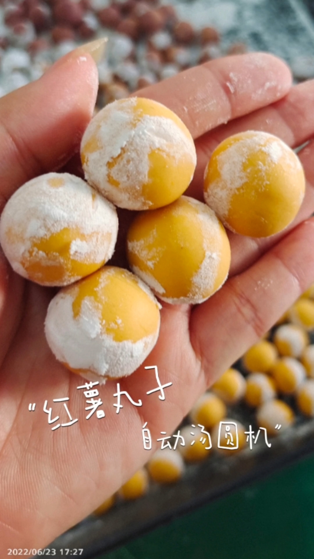 #酒糟汤圆#红薯丸子自从用上自动汤圆机后,量产已经不是问题了。#汤圆机