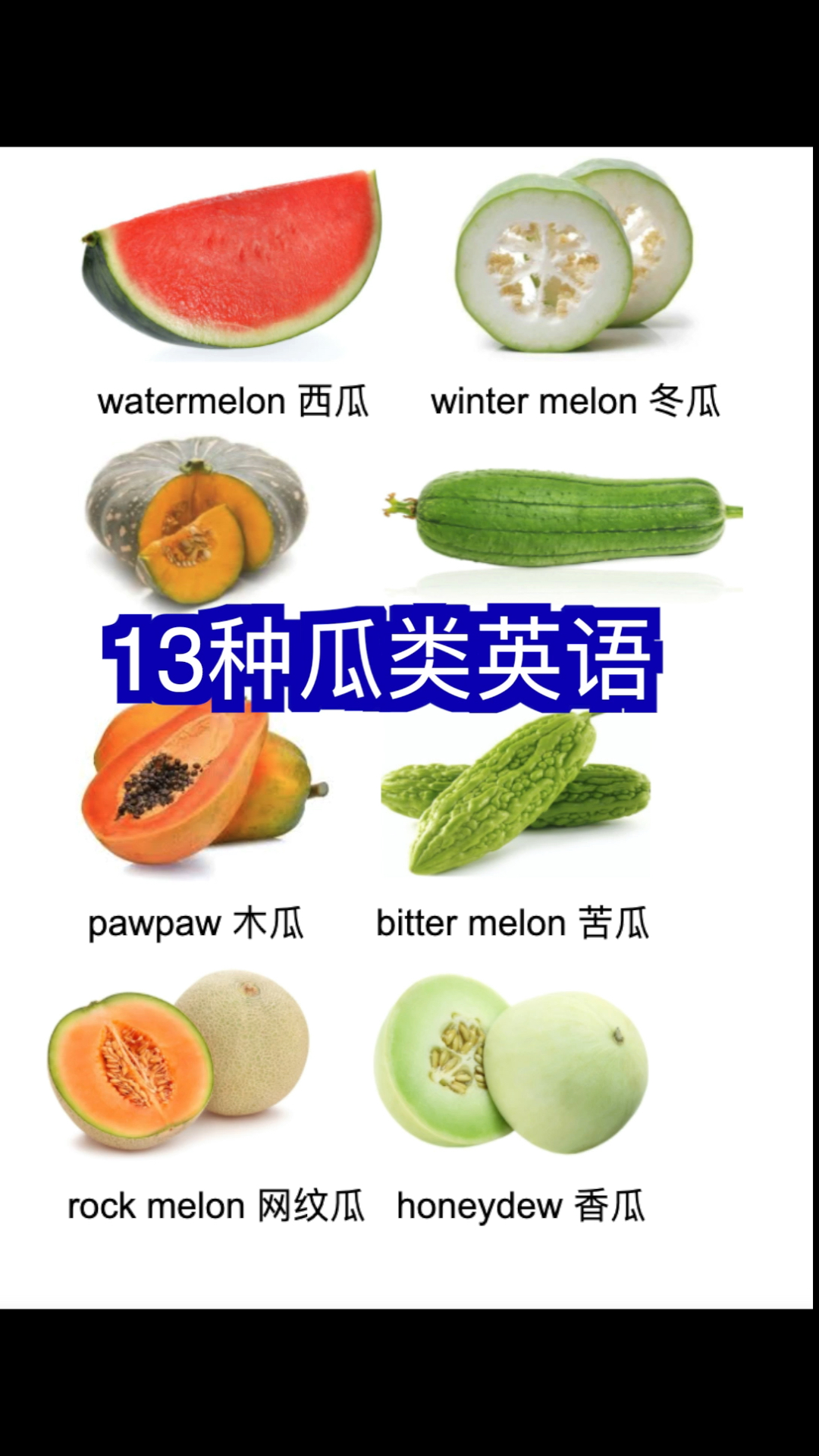 亮点在最后!瓜类英语#英语