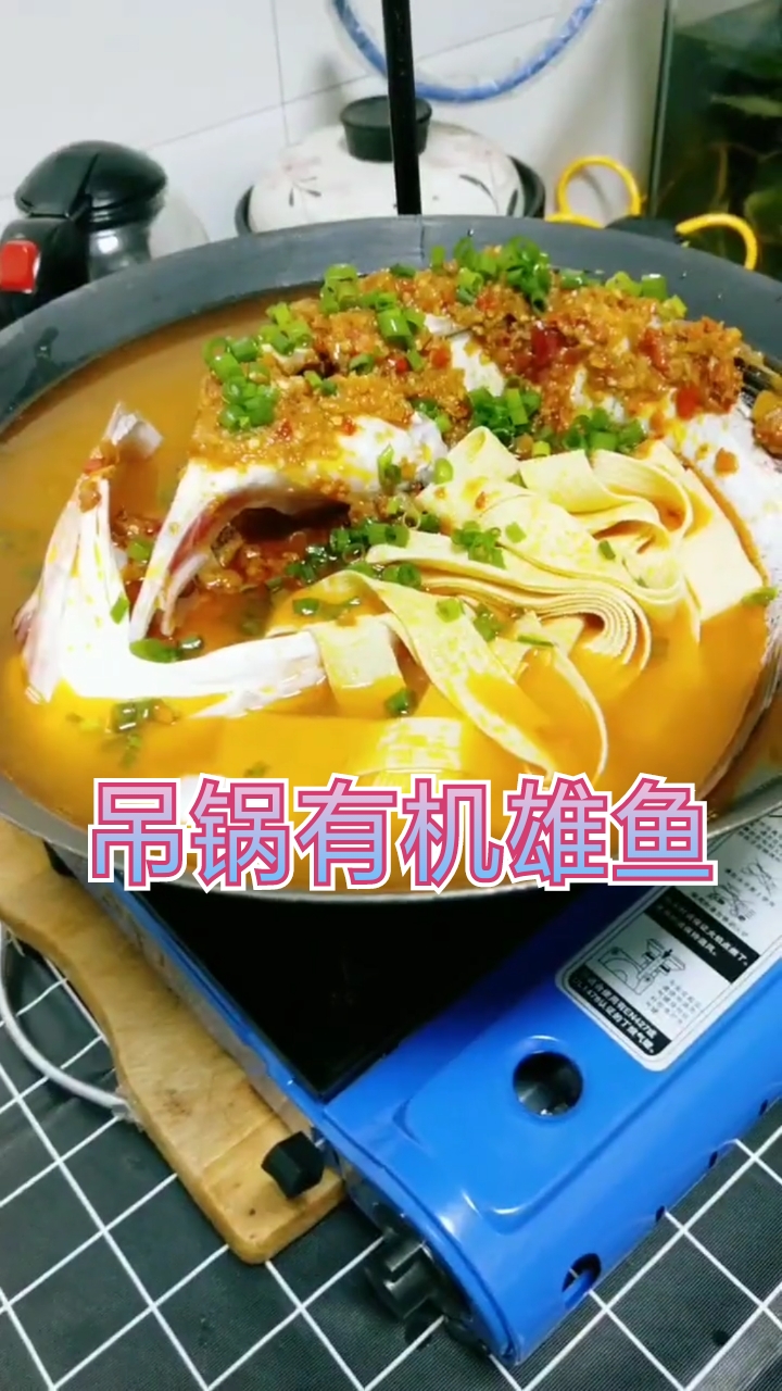 #美食宏哥故事汇#2020新款网红吊锅有机雄鱼。@全民小助手