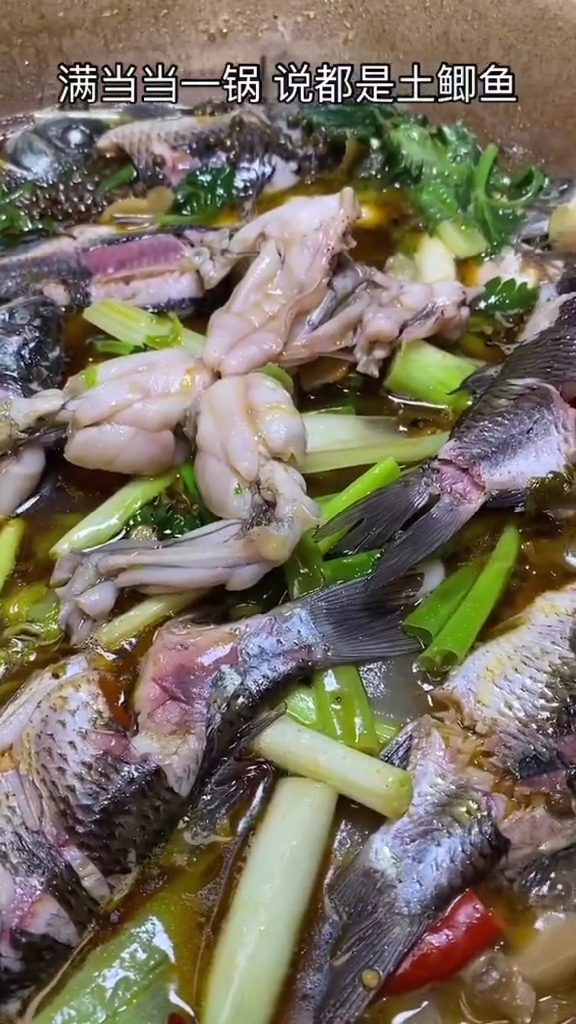 咖妃姐姐来了你们接驾吧石锅泡椒土鲫鱼